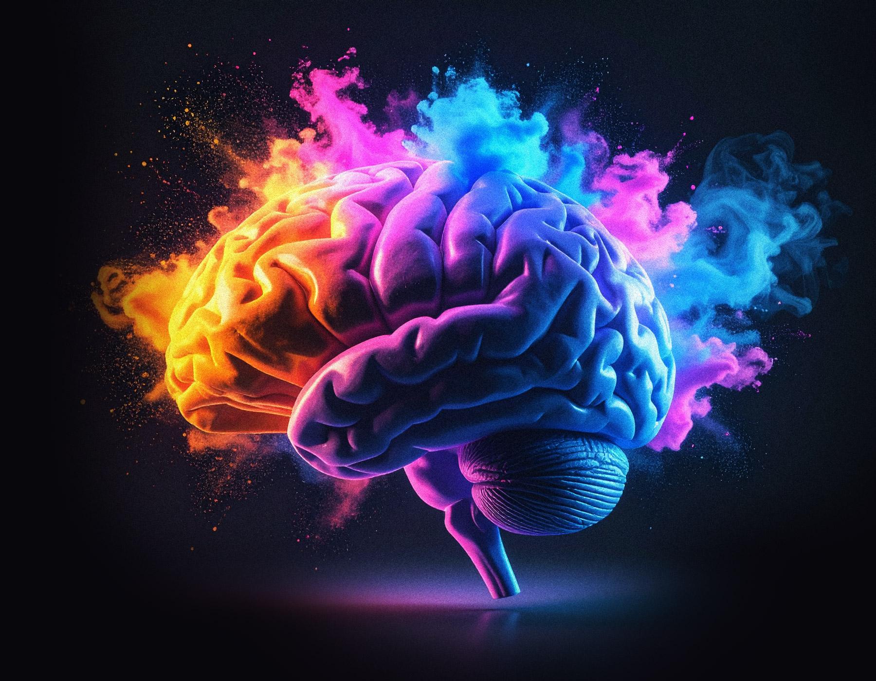 plug into our brain